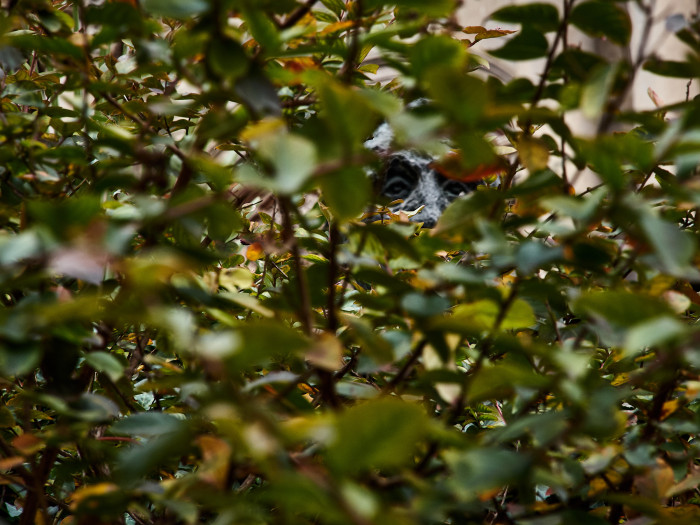 03-Pc14-2025-11-13 16.20.26